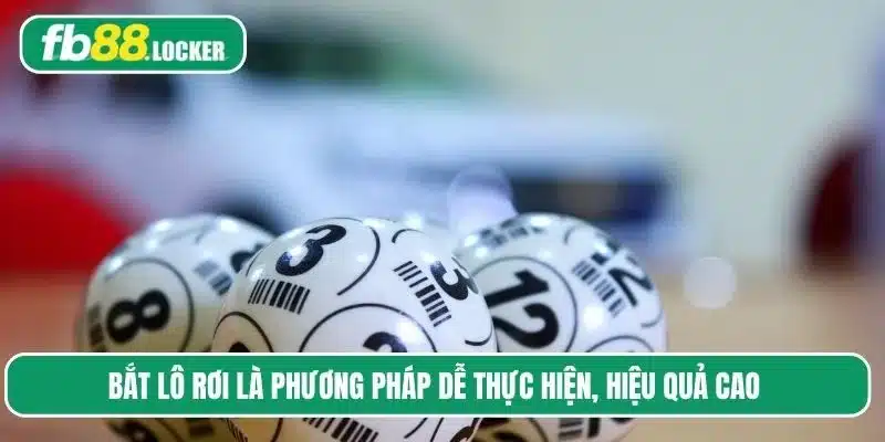 Bắt lô rơi là phương pháp dễ thực hiện, mang lại hiệu quả cao